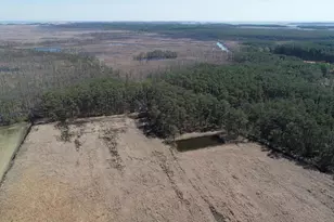 2839 Lakesville Crapo Rd, Church Creek, MD 21622 - Photo 3