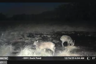 2839 Lakesville Crapo Rd, Church Creek, MD 21622 - Photo 23