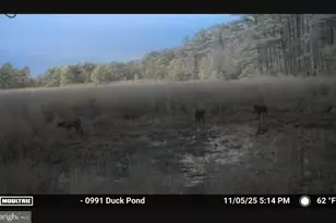 2839 Lakesville Crapo Rd, Church Creek, MD 21622 - Photo 25