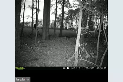 2839 Lakesville Crapo Road, Church Creek, MD 21622 - Photo 17