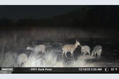 2839 Lakesville Crapo Road, Church Creek, MD 21622 - Photo 19