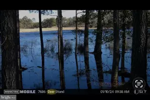 2839 Lakesville Crapo Rd, Church Creek, MD 21622 - Photo 3