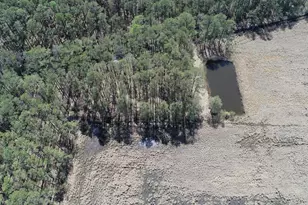 2839 Lakesville Crapo Rd, Church Creek, MD 21622 - Photo 39