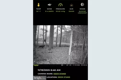 2839 Lakesville Crapo Road, Church Creek, MD 21622 - Photo 7