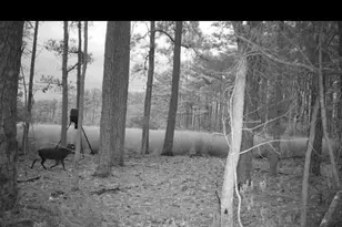 2839 Lakesville Crapo Rd, Church Creek, MD 21622 - Photo 7