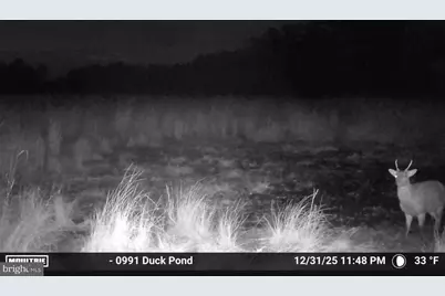 2839 Lakesville Crapo Road, Church Creek, MD 21622 - Photo 17