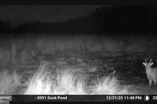 2839 Lakesville Crapo Rd, Church Creek, MD 21622 - Photo 17