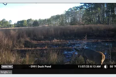 2839 Lakesville Crapo Road, Church Creek, MD 21622 - Photo 9