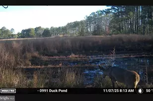 2839 Lakesville Crapo Rd, Church Creek, MD 21622 - Photo 9