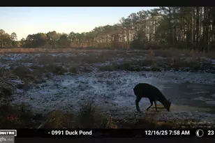 2839 Lakesville Crapo Rd, Church Creek, MD 21622 - Photo 23