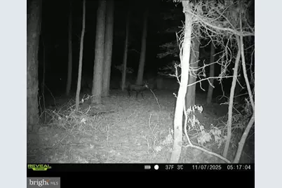 2839 Lakesville Crapo Road, Church Creek, MD 21622 - Photo 11