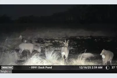 2839 Lakesville Crapo Road, Church Creek, MD 21622 - Photo 23