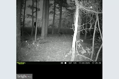 2839 Lakesville Crapo Road, Church Creek, MD 21622 - Photo 15