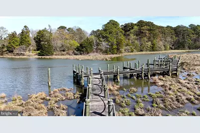 3403 Great Oaks Road, East New Market, MD 21631 - Photo 15