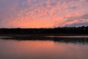 4004 Robinson Neck Rd, Taylors Island, MD 21669 - Photo 75