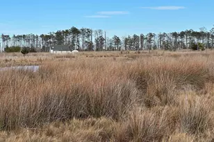 2775 Toddville Rd, Toddville, MD 21672 - Photo 27