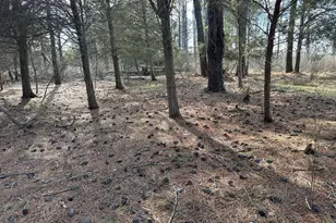 2775 Toddville Rd, Toddville, MD 21672 - Photo 37