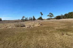 2775 Toddville Rd, Toddville, MD 21672 - Photo 9