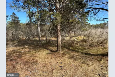 2775 Toddville Road, Toddville, MD 21672 - Photo 39