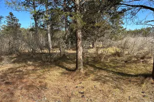 2775 Toddville Rd, Toddville, MD 21672 - Photo 39