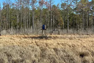 2775 Toddville Rd, Toddville, MD 21672 - Photo 29