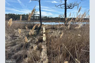 2775 Toddville Road, Toddville, MD 21672 - Photo 19