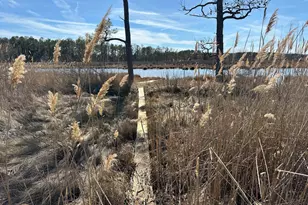 2775 Toddville Rd, Toddville, MD 21672 - Photo 19