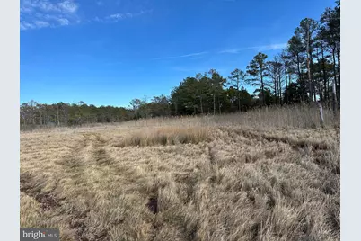 2775 Toddville Road, Toddville, MD 21672 - Photo 45