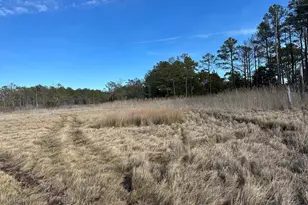 2775 Toddville Rd, Toddville, MD 21672 - Photo 45