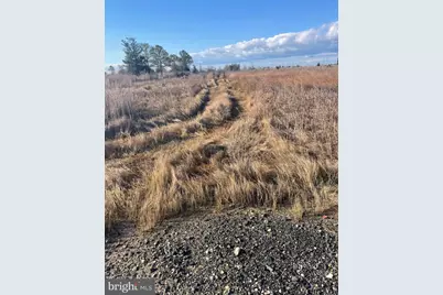 2775 Toddville Road, Toddville, MD 21672 - Photo 21