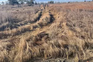 2775 Toddville Rd, Toddville, MD 21672 - Photo 21