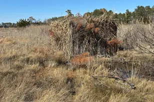 2775 Toddville Rd, Toddville, MD 21672 - Photo 13