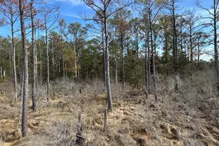 2775 Toddville Rd, Toddville, MD 21672 - Photo 25