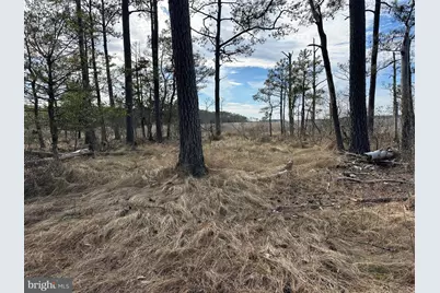 2775 Toddville Road, Toddville, MD 21672 - Photo 43