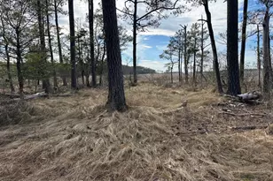 2775 Toddville Rd, Toddville, MD 21672 - Photo 43