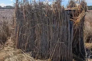 2775 Toddville Rd, Toddville, MD 21672 - Photo 17