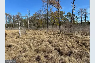 2775 Toddville Road, Toddville, MD 21672 - Photo 31