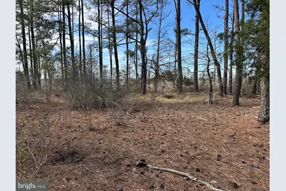 2775 Toddville Road, Toddville, MD 21672 - Photo 41