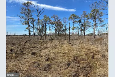 2775 Toddville Road, Toddville, MD 21672 - Photo 35