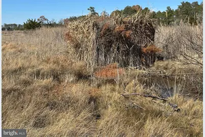 2775 Toddville Road, Toddville, MD 21672 - Photo 13