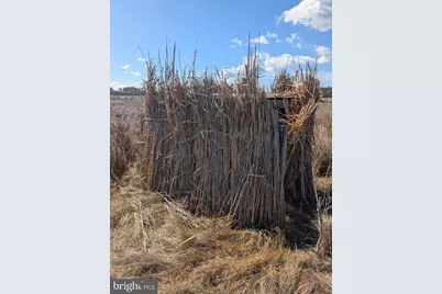 2775 Toddville Road, Toddville, MD 21672 - Photo 17