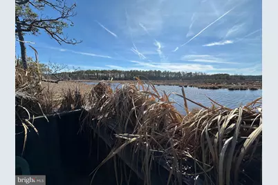 2775 Toddville Road, Toddville, MD 21672 - Photo 15