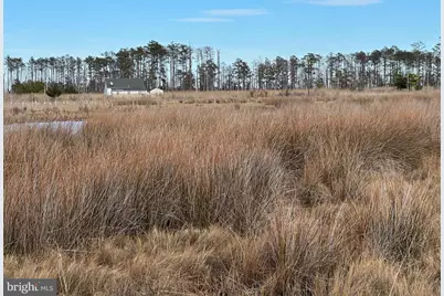 2775 Toddville Road, Toddville, MD 21672 - Photo 27