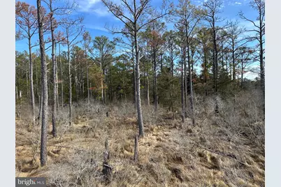 2775 Toddville Road, Toddville, MD 21672 - Photo 25