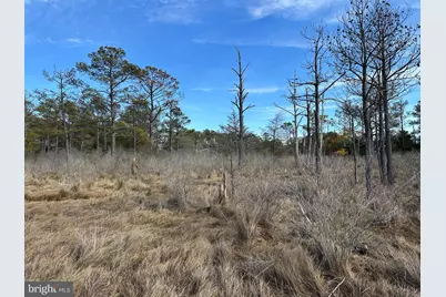 2775 Toddville Road, Toddville, MD 21672 - Photo 23