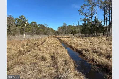 2775 Toddville Road, Toddville, MD 21672 - Photo 33