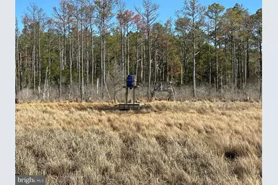 2775 Toddville Road, Toddville, MD 21672 - Photo 29