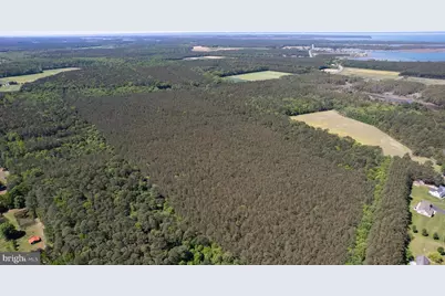 Taylors Island Rd, Woolford, MD 21677 - Photo 9