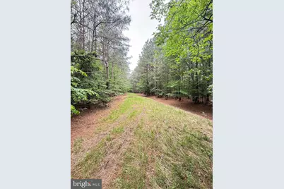 Taylors Island Rd, Woolford, MD 21677 - Photo 19