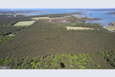 Taylors Island Rd, Woolford, MD 21677 - Photo 5